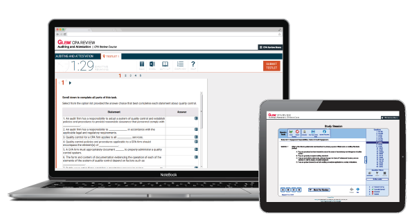 Gleim CPA Mega Test Bank Supplement